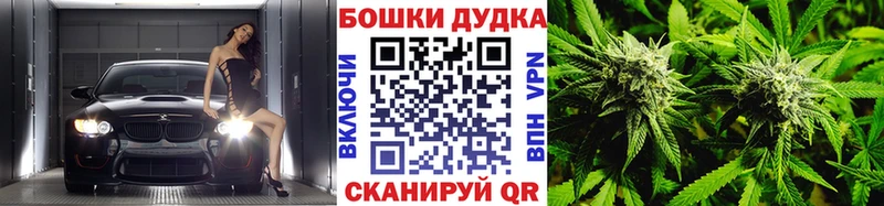Где купить наркотики Братск Псилоцибиновые грибы  МЕФ  Кокаин  Гашиш  Марихуана 