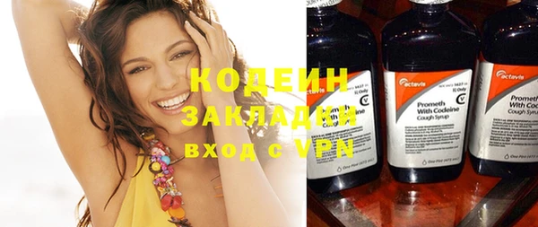 МДПВ Вяземский