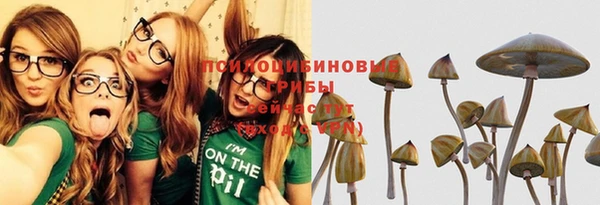 МДПВ Вяземский
