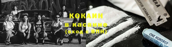 МДПВ Вяземский