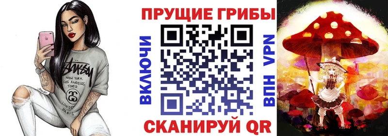 ОМГ ОМГ вход  Братск  Галлюциногенные грибы Psilocybine cubensis 